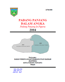 Padang Panjang Dalam Angka 2004