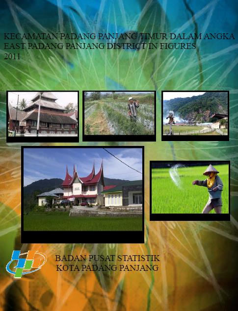 East Padang Panjang in Figures 2011