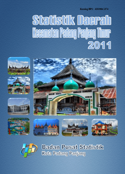 Statistics Regional District of Padang Panjang Timur 2011