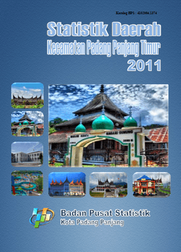 Statistics Regional District Of Padang Panjang Timur 2011